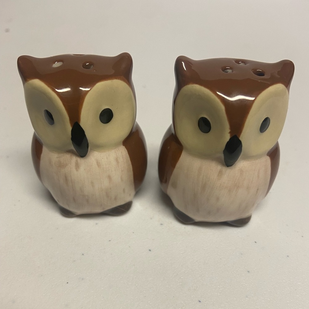 Salt and pepper shakers Owl read description new